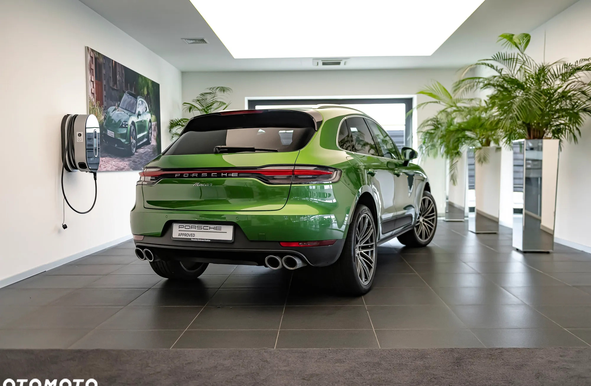 Porsche Macan cena 259000 przebieg: 103698, rok produkcji 2020 z Torzym małe 379